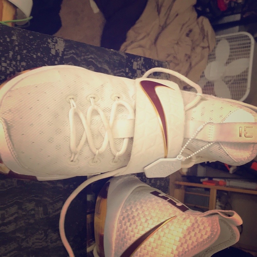 Lebron xiv
